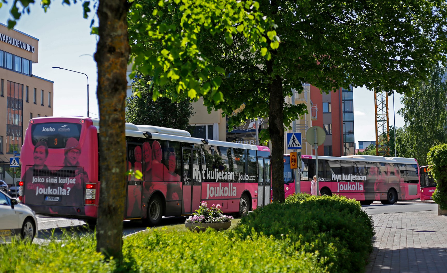 Pinkin värisiä linja-autoja vihreiden pensaiden ja puiden taustalla.