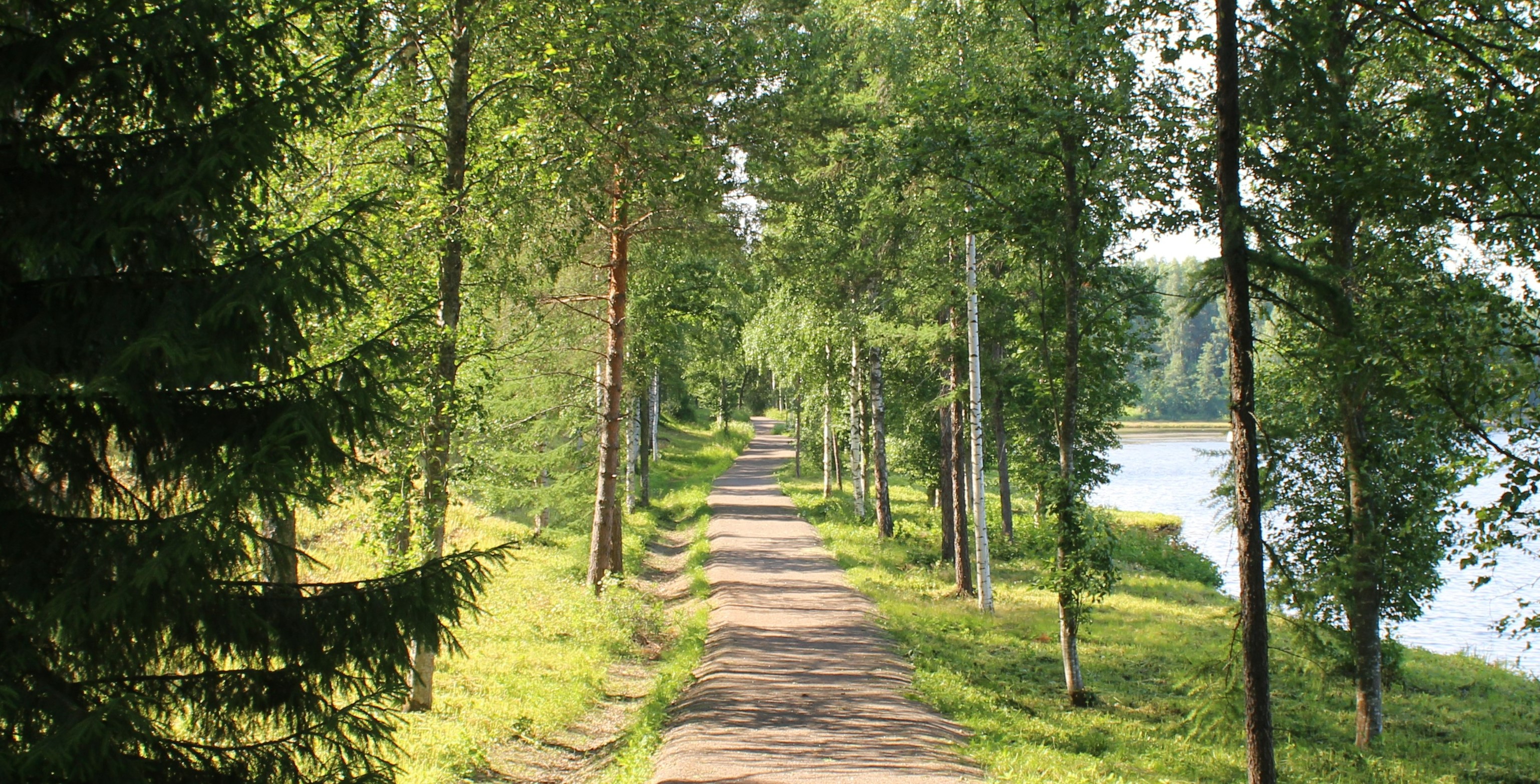 A path in green nature. There are trees along the path, and blue water in the right.