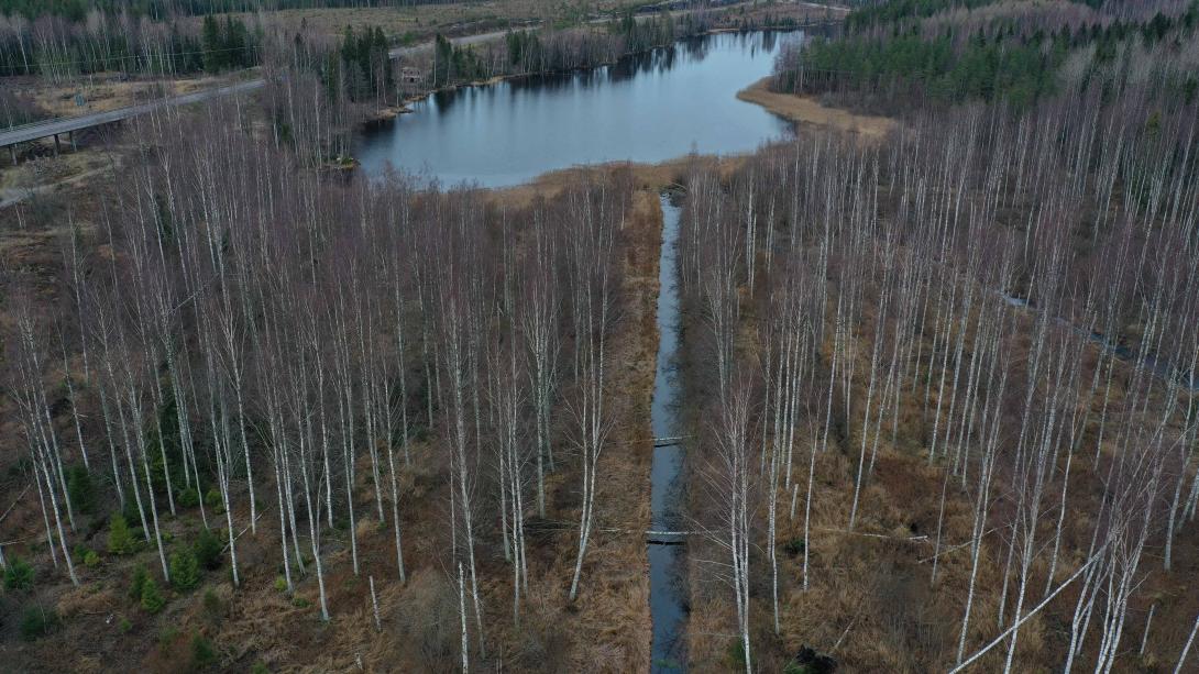 Maisemakuva Myllylammen kosteikolta.